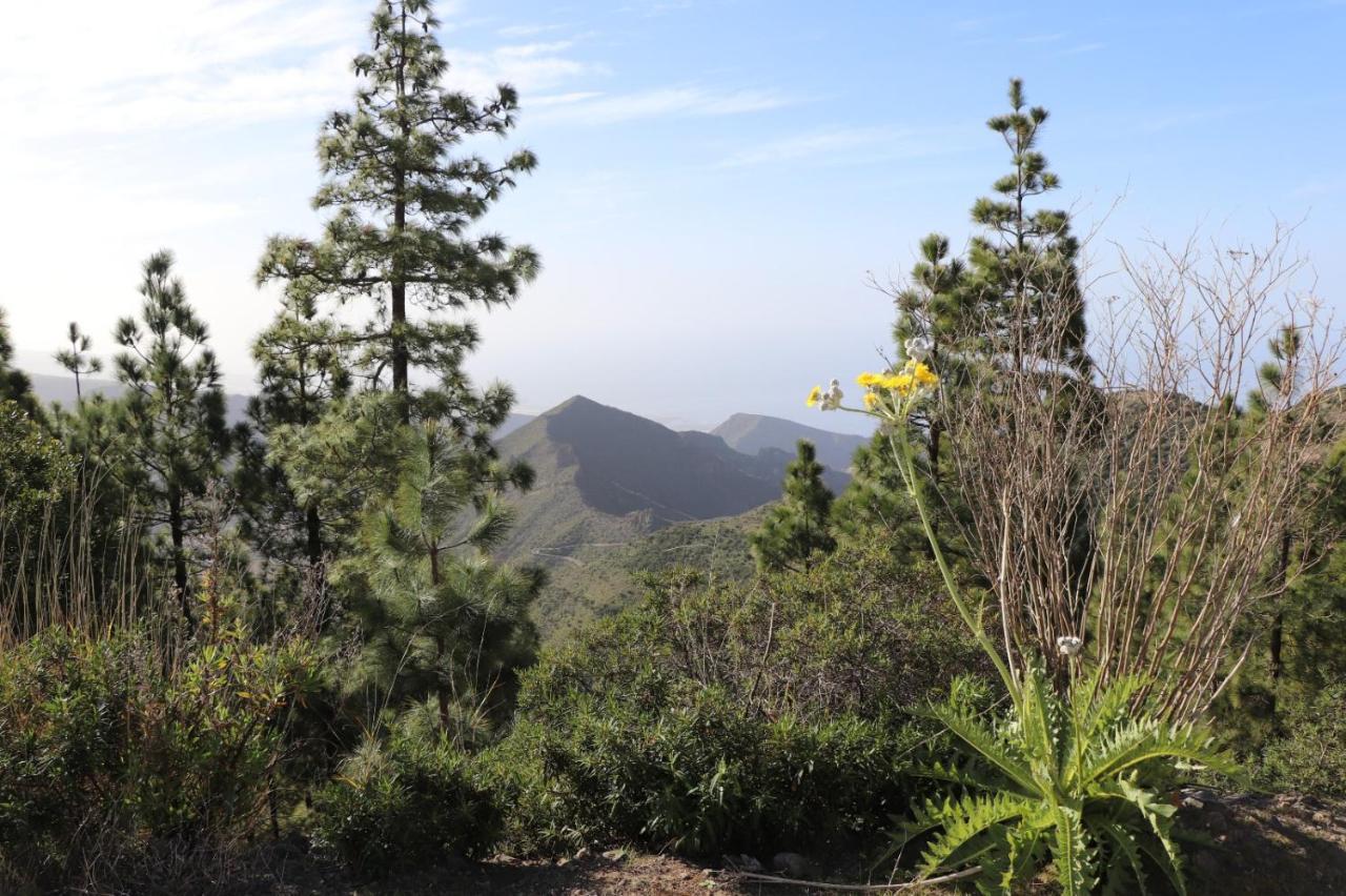 Traditional Canarian Home With Fantastic View Santiago Del Teide Exterior photo